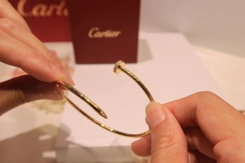 Cartier Bracelets Soft 217657