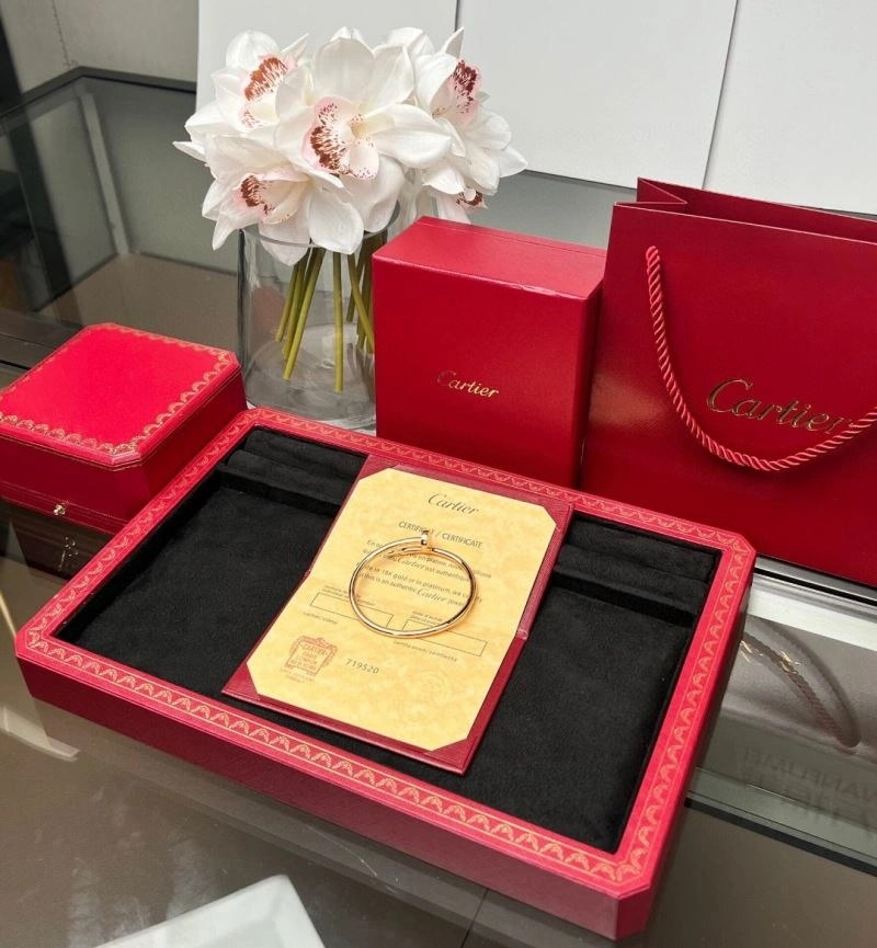 Refined Cartier Bracelets 217521