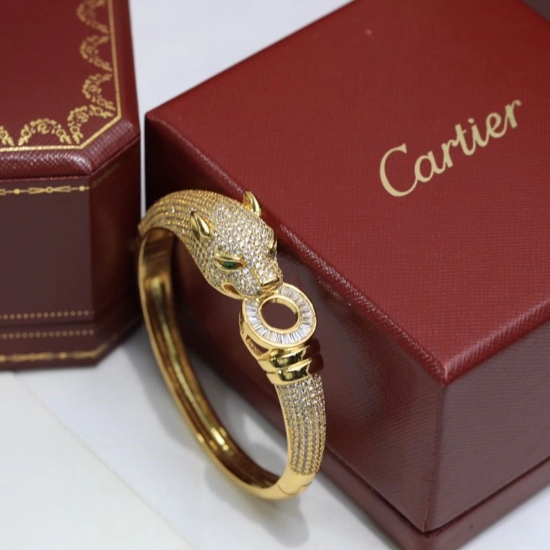 Cartier Bracelets GoAnywhere 217445