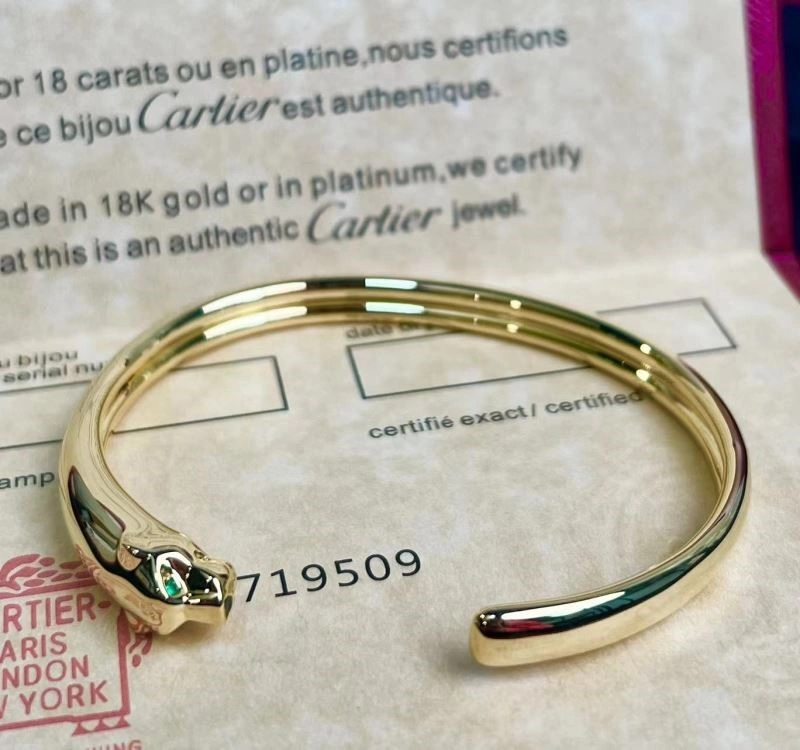 Cartier Bracelets Comfortable 217443