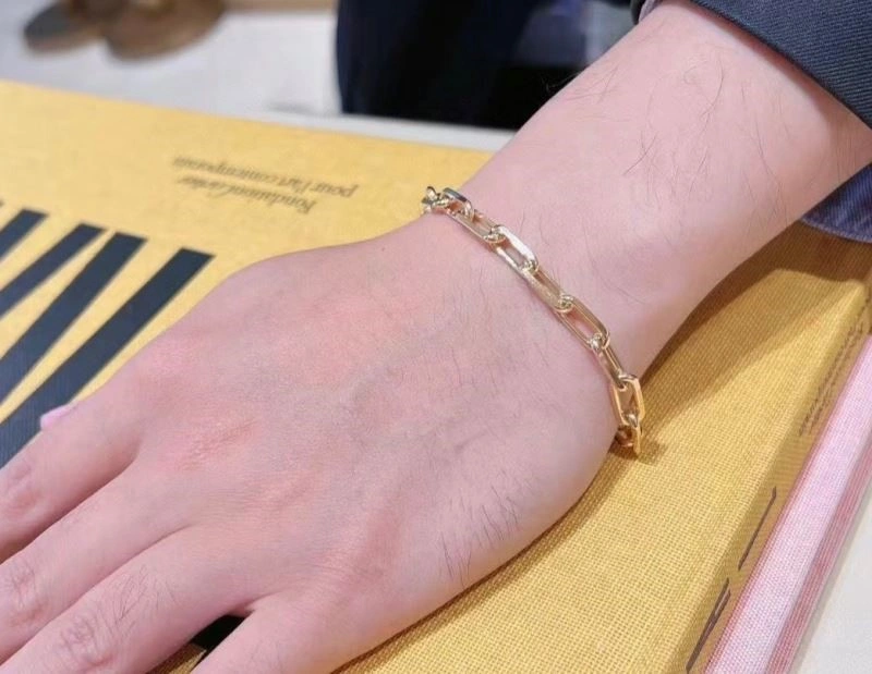 Cartier Bracelets MultiPurpose 217206