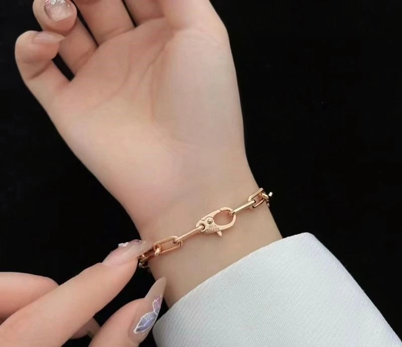 Cartier Bracelets MultiPurpose 217206