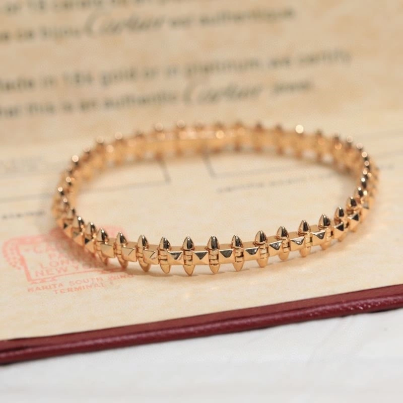 Cartier Bracelets WaterResistant 217241