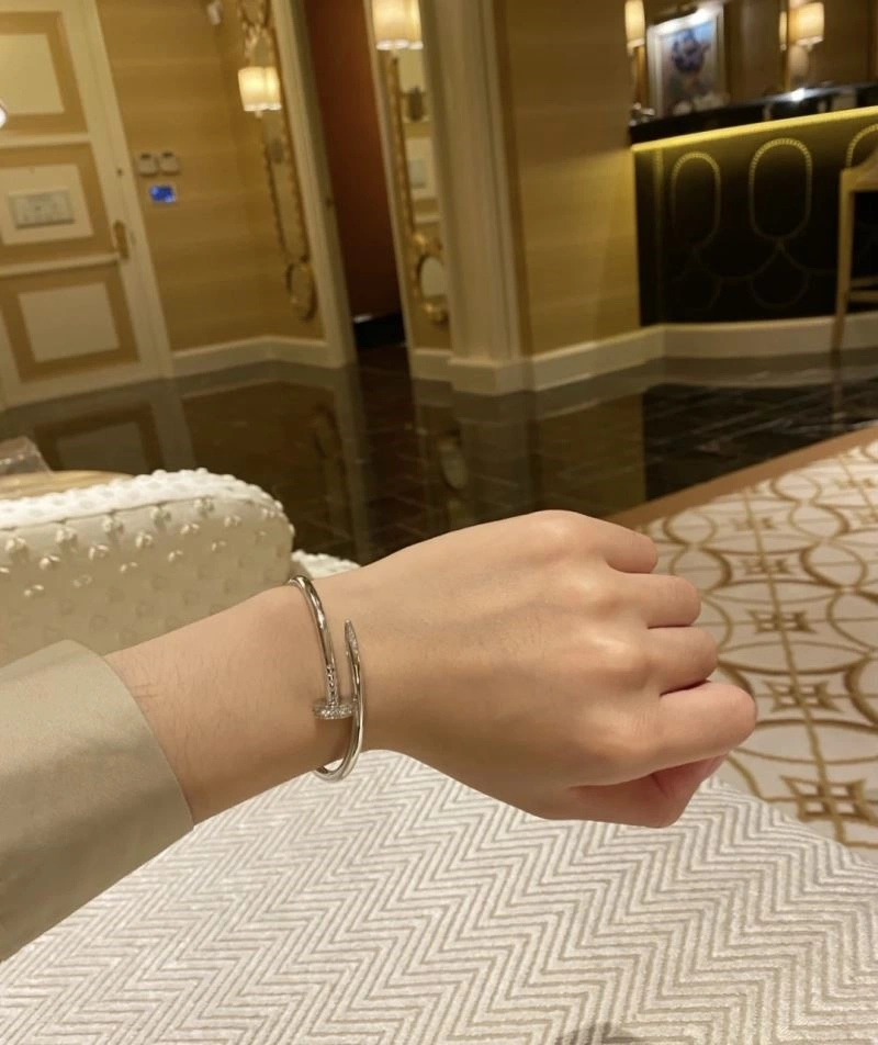 Cartier Bracelets WellDesigned 217200