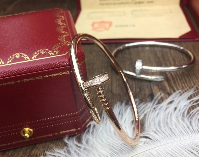 Cartier Bracelets WellDesigned 217200