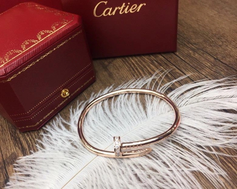 Cartier Bracelets WellDesigned 217200