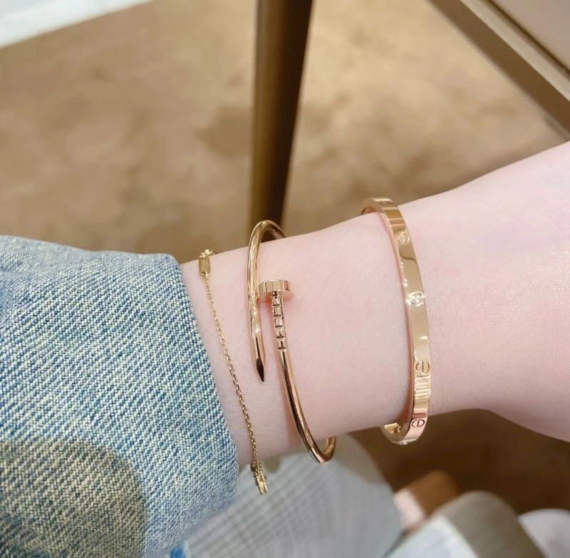 Cartier Bracelets Youthful 217182