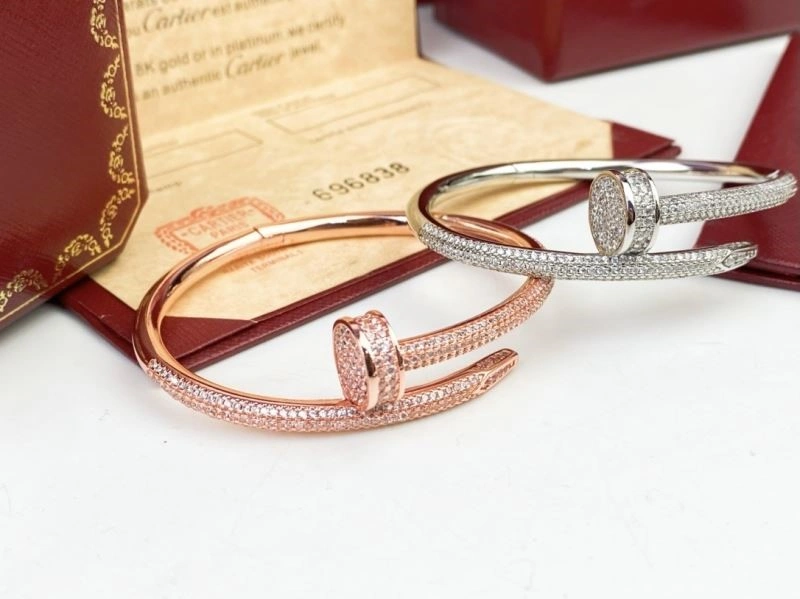 Cartier Bracelets Colorful 217139