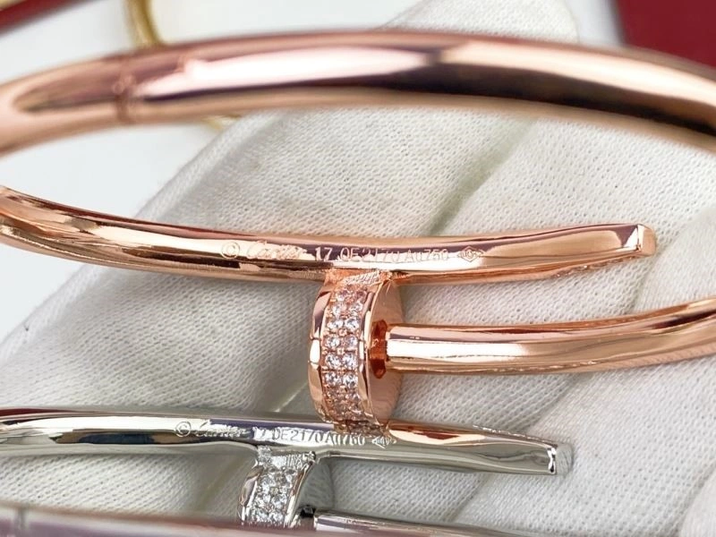 Cartier Bracelets Colorful 217139