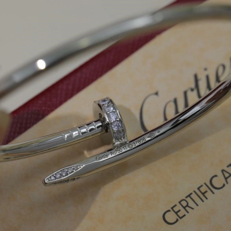 ModernLook Cartier Bracelets 217148
