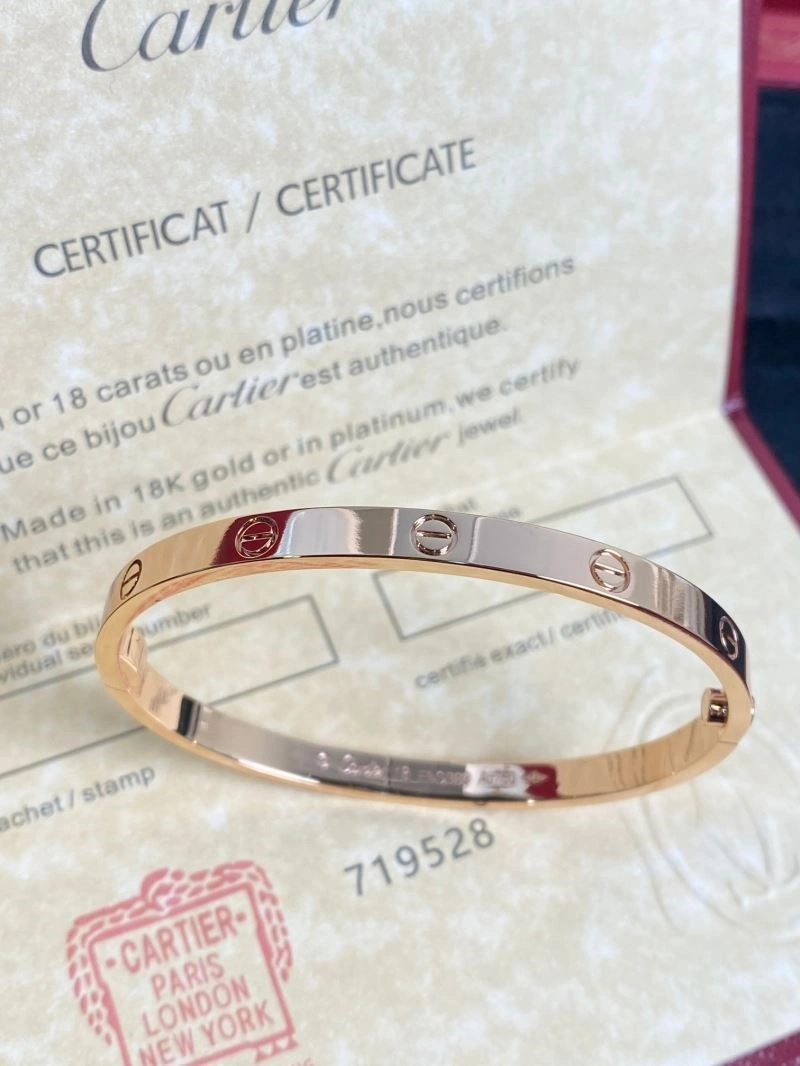 Cartier Bracelets TechFriendly 217122