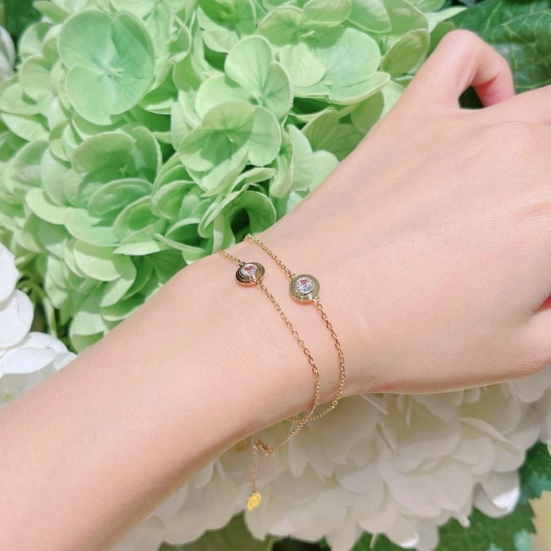 Cartier Bracelets MultiPurpose 217126