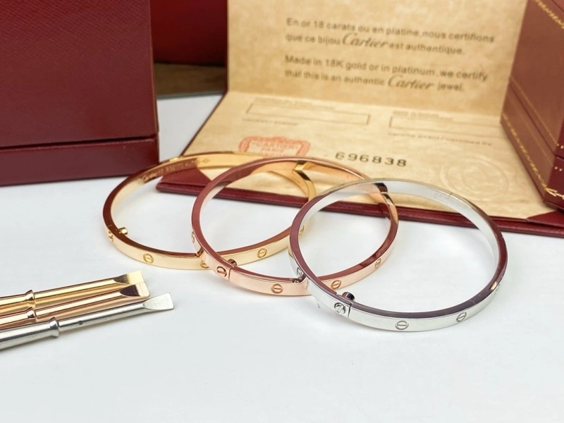 Cartier Bracelets WellDesigned 217001