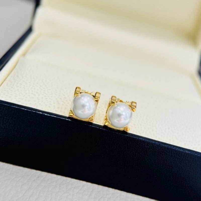 Cartier Earrings Affordable 217782