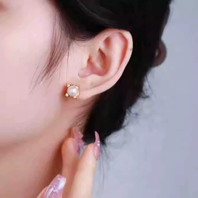 Cartier Earrings Affordable 217782