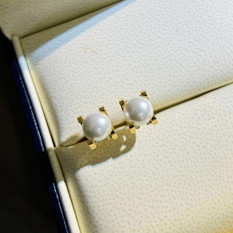 Cartier Earrings Affordable 217782