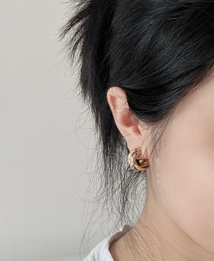 Cartier Earrings Attractive 217710