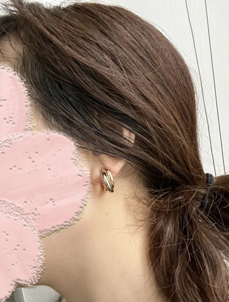 Cartier Earrings Attractive 217710