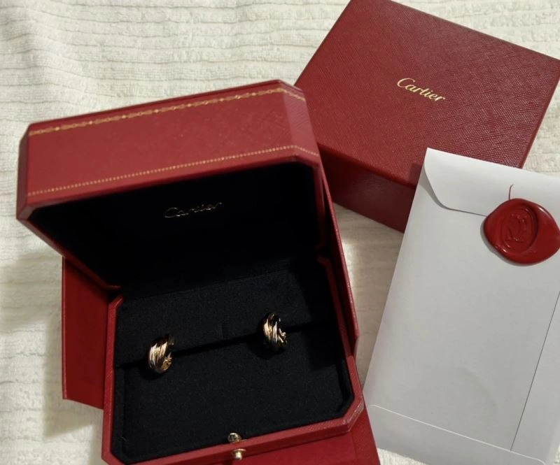 Cartier Earrings Attractive 217710
