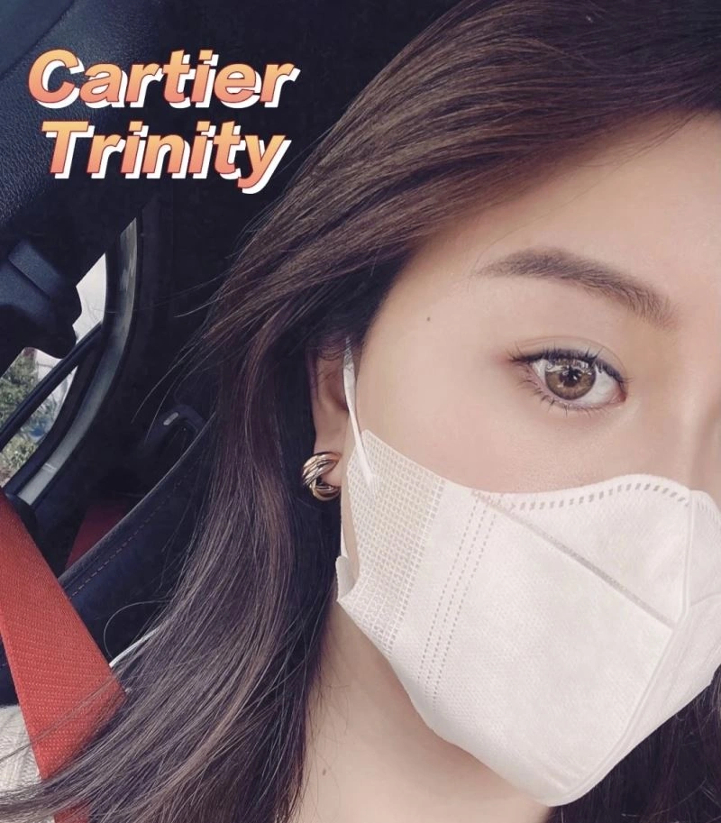 Cartier Earrings Attractive 217710