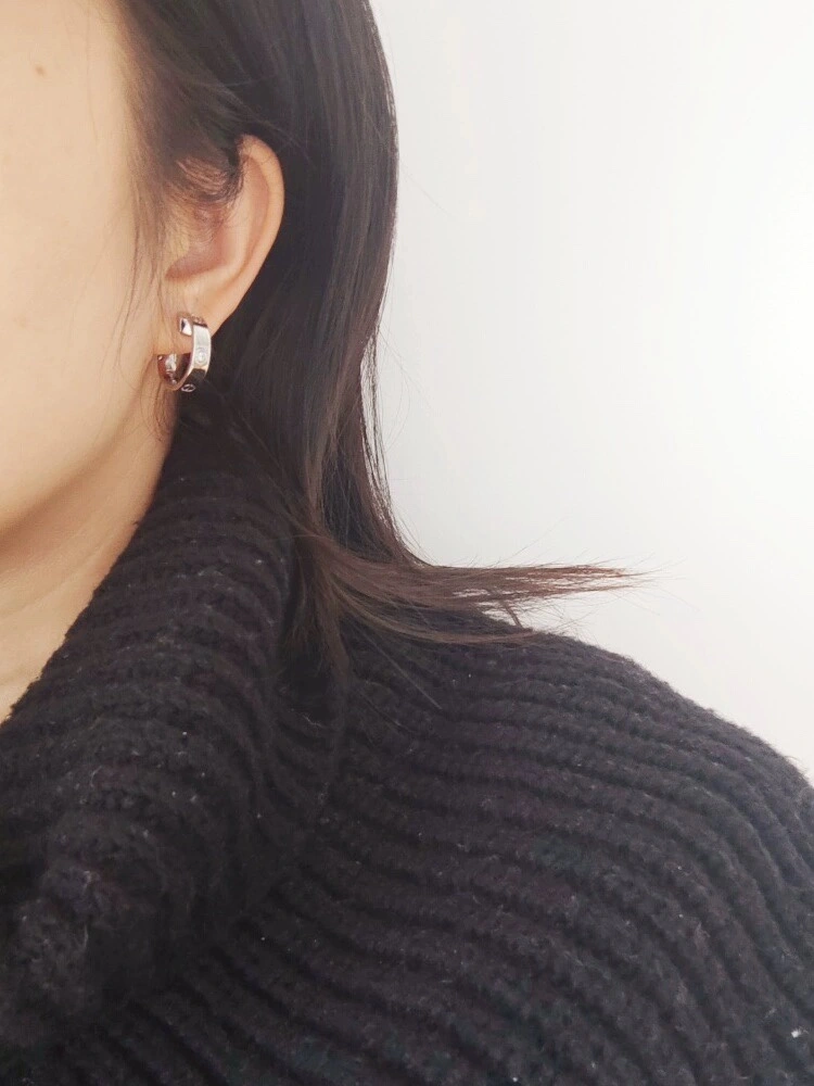Cartier Earrings Functional 217646