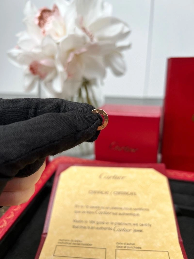 Cartier Earrings Breathable 217565