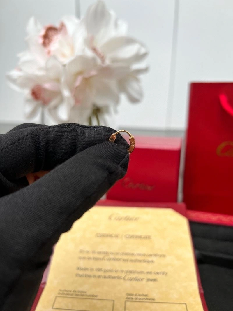 Cartier Earrings Breathable 217565