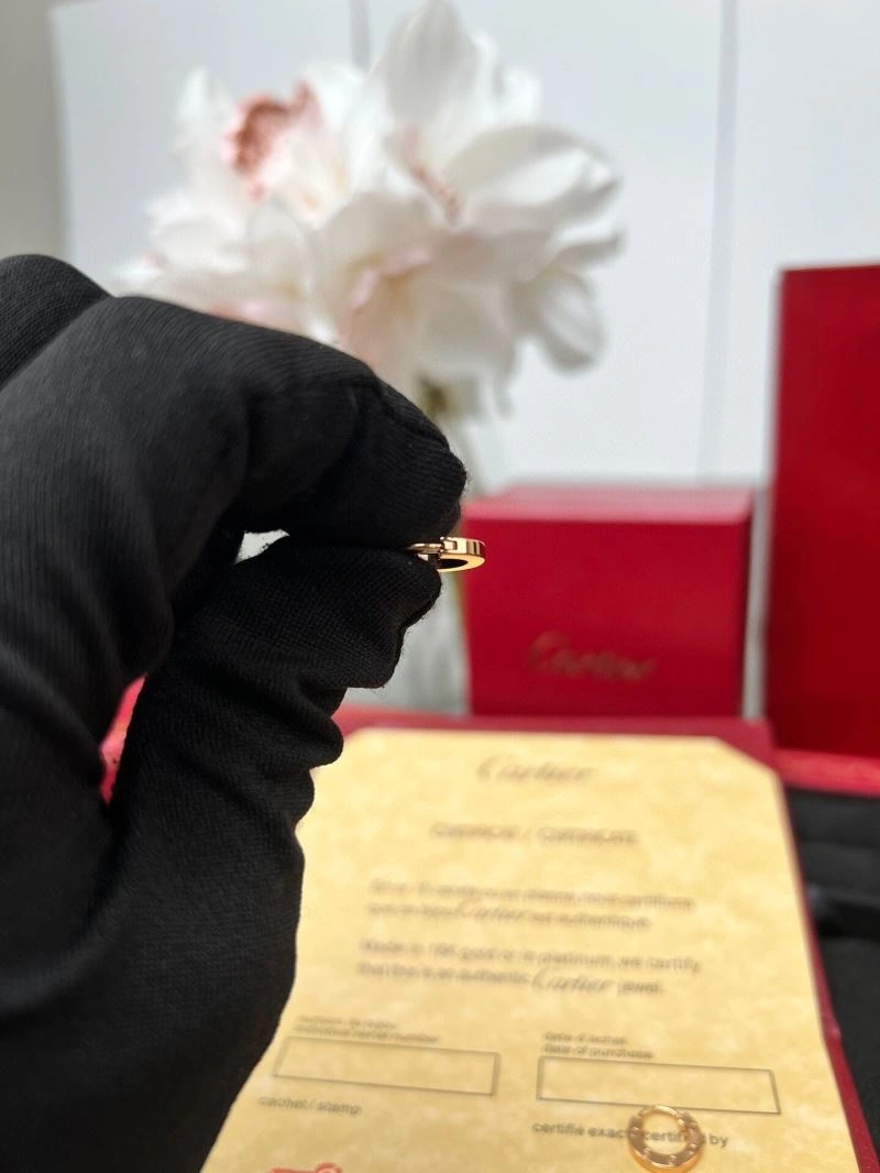 Cartier Earrings Breathable 217565