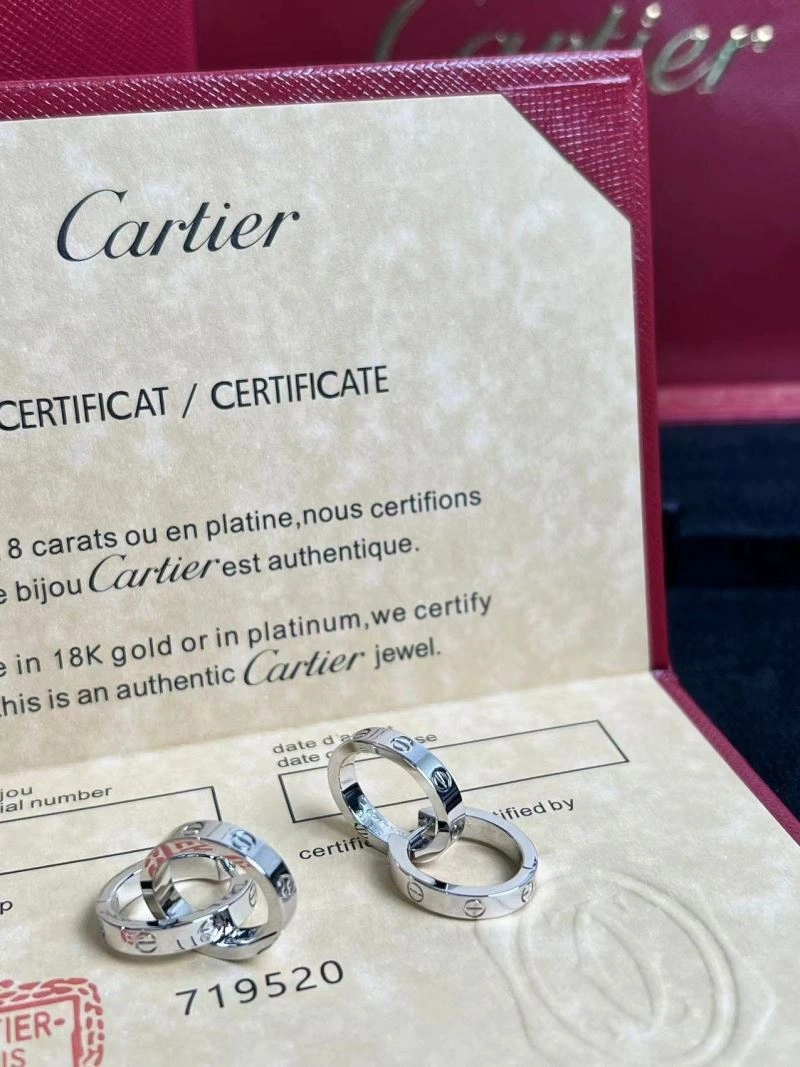 Cartier Earrings Popular 217543