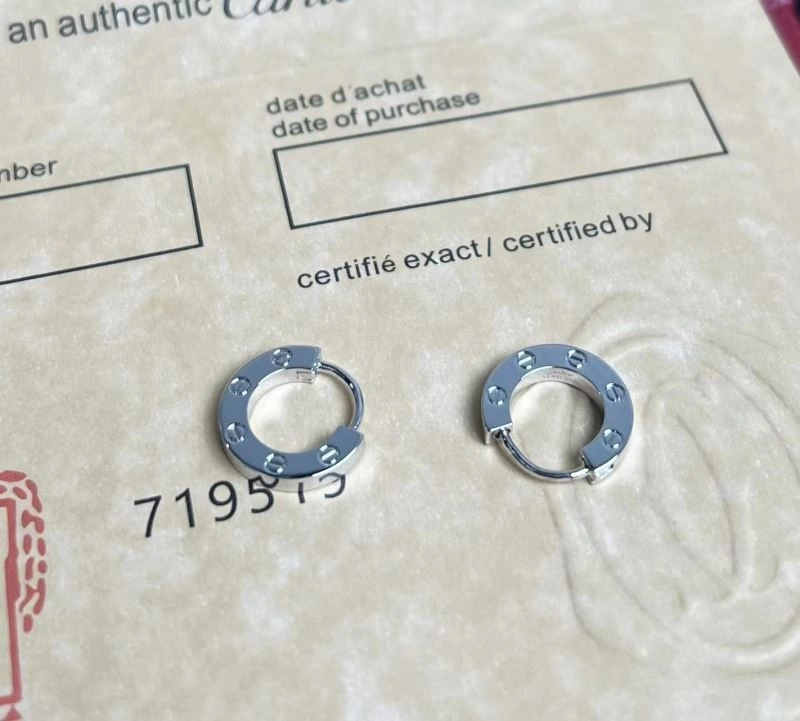 Cartier Earrings Durable 217563