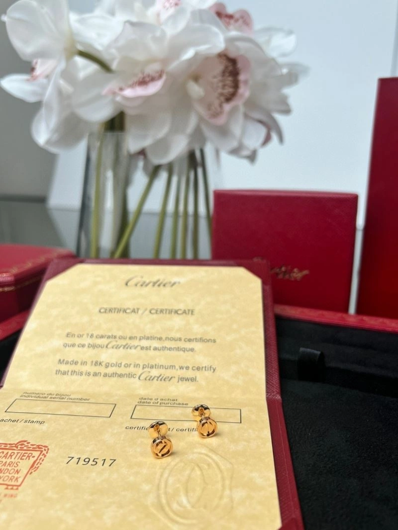 Cartier Earrings Snug 217487