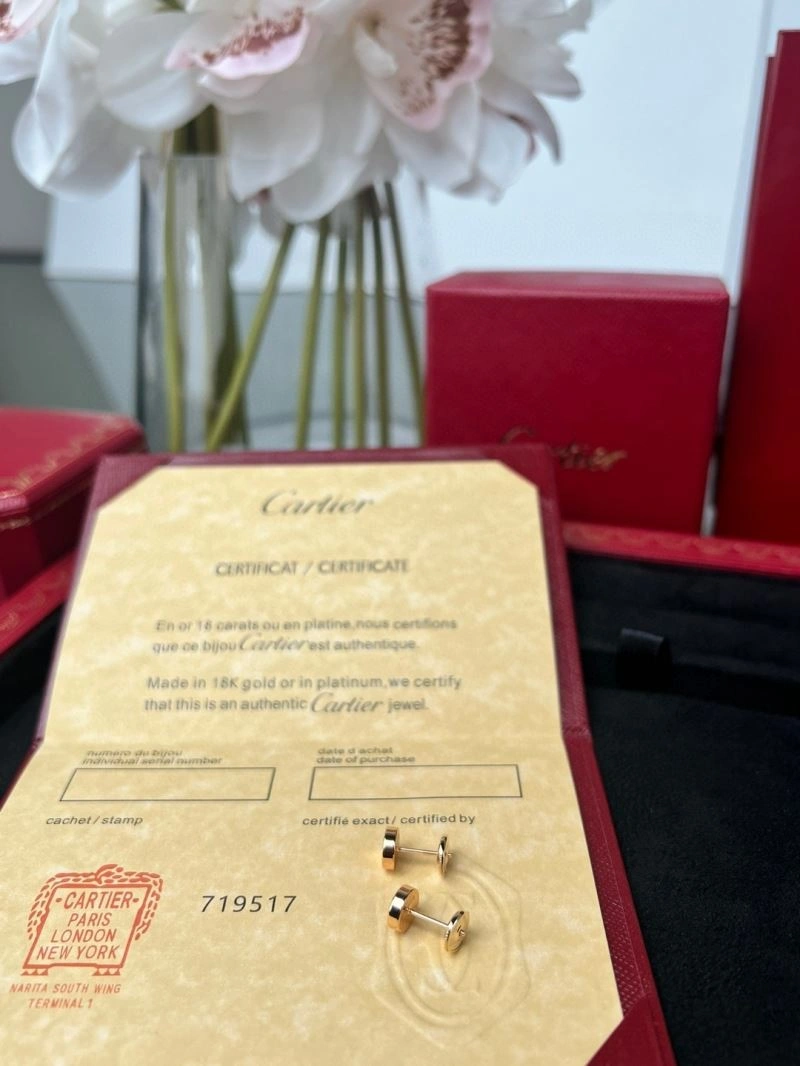 Cartier Earrings Snug 217487