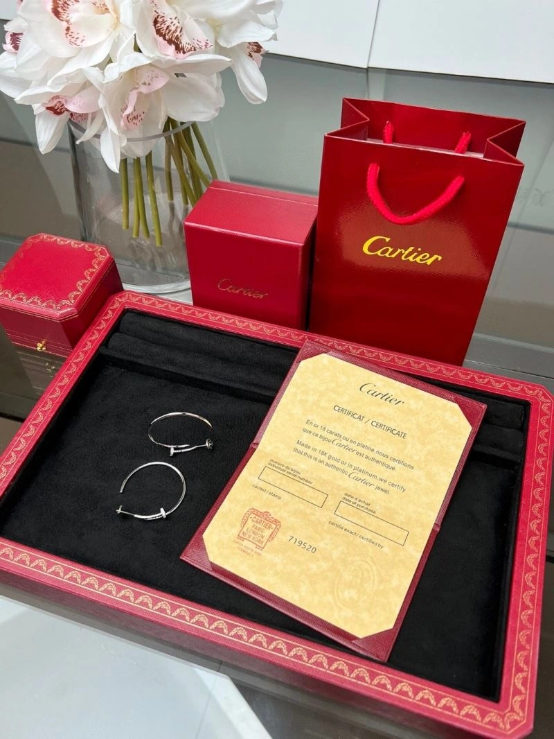 HighPerformance Cartier Earrings 217491
