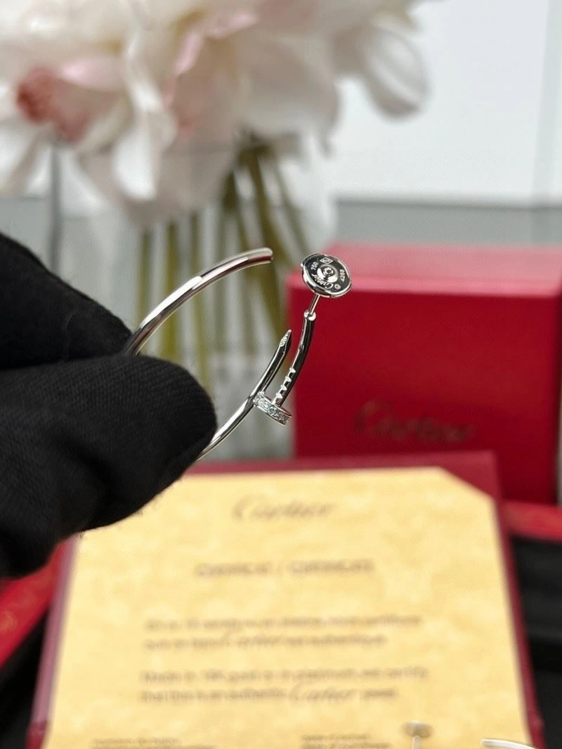 HighPerformance Cartier Earrings 217491