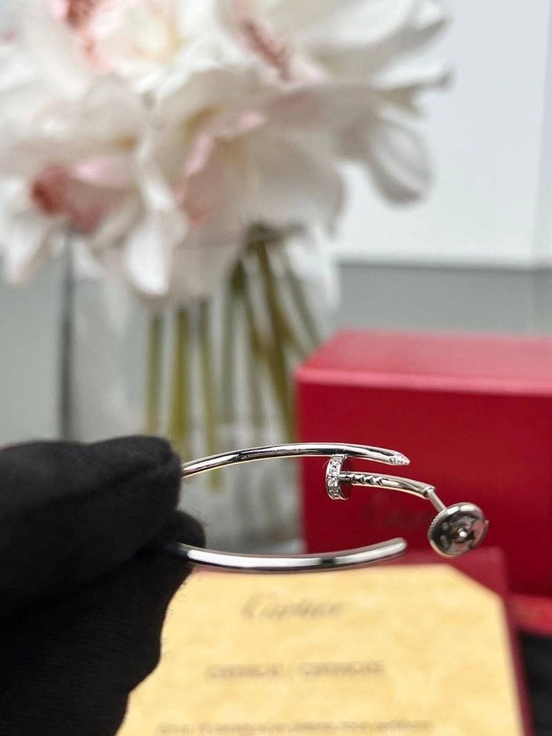 HighPerformance Cartier Earrings 217491
