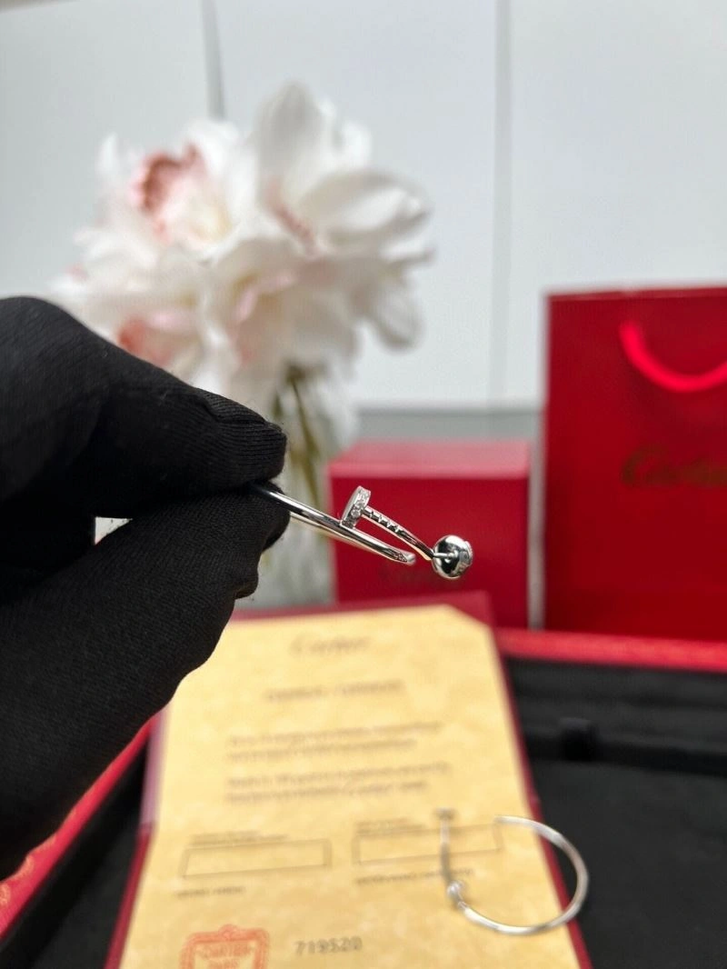 HighPerformance Cartier Earrings 217491