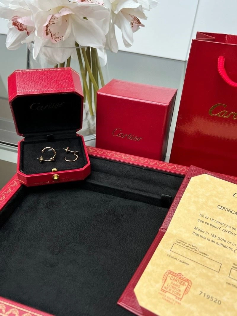NewStyle Cartier Earrings 217435