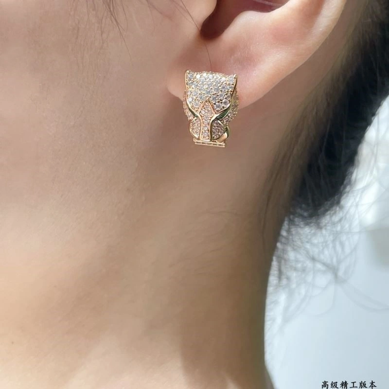 Cartier Earrings MultiPurpose 217326