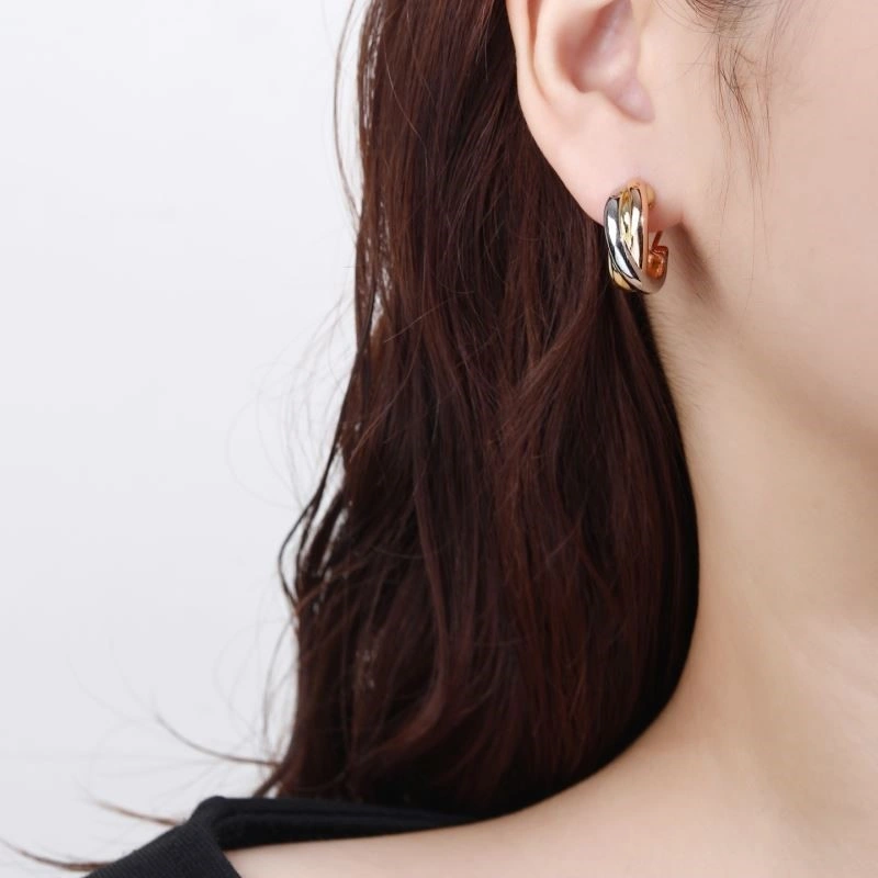 Cartier Earrings WeatherProof 217185