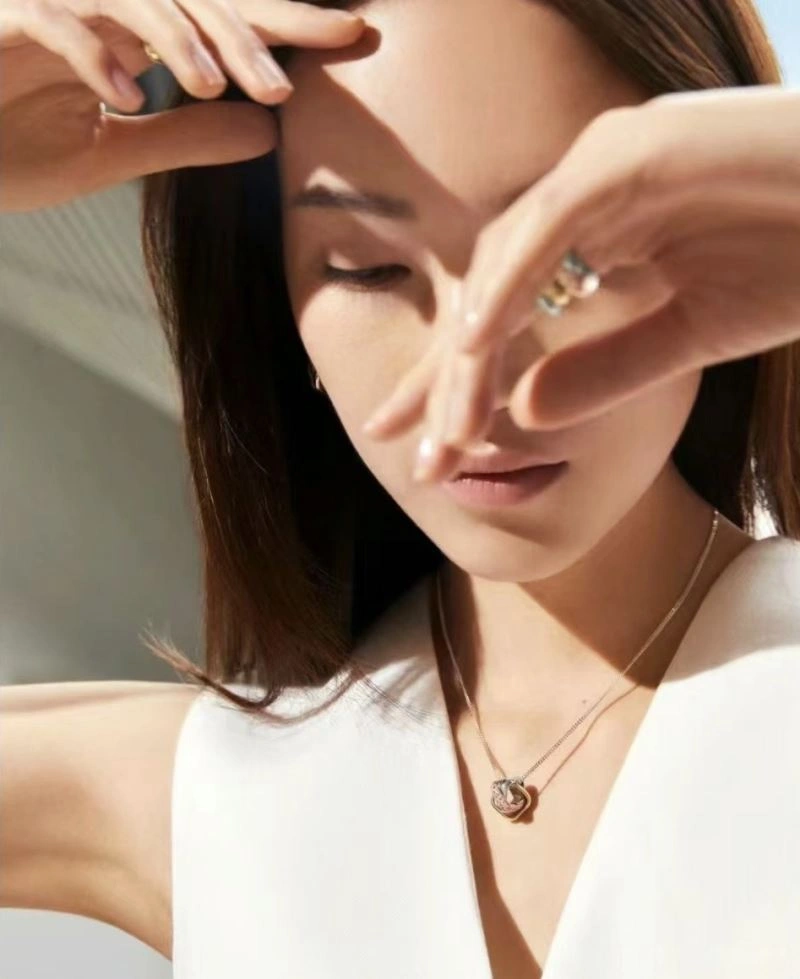 Cartier Necklaces StreetReady 217759
