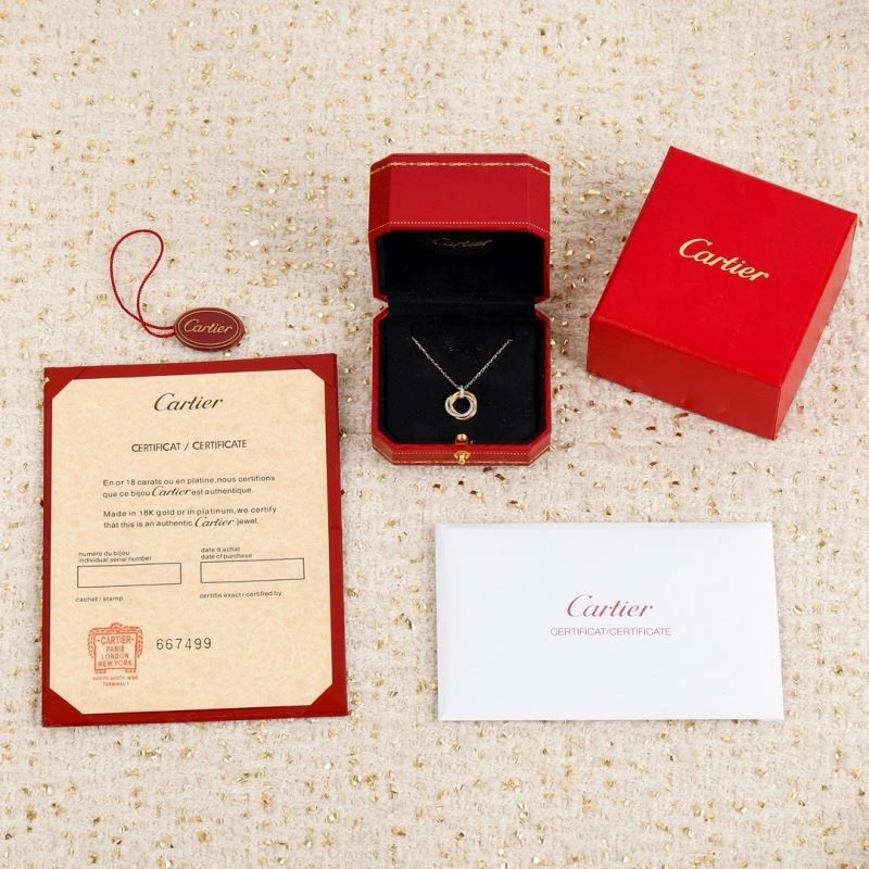 Cartier Necklaces Sophisticated 217709