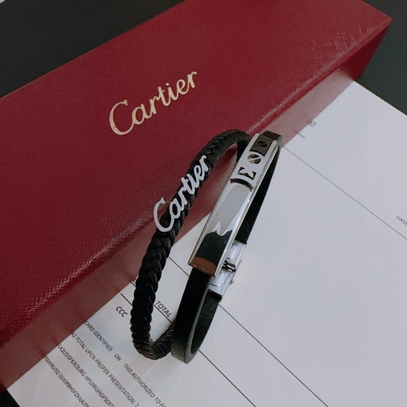 Cartier Necklaces Affordable 217070