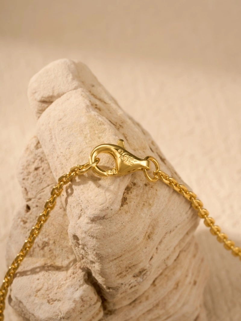 StreetReady Cartier Necklaces 216946