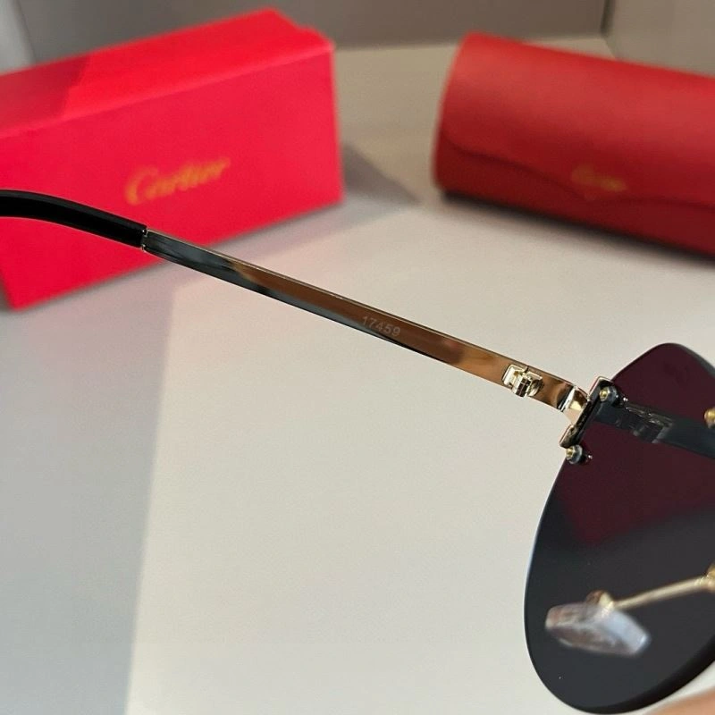 Cartier Sunglasses FastDry 277456