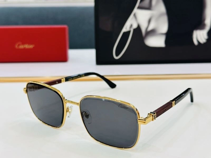 WellDesigned Cartier Sunglasses 277441
