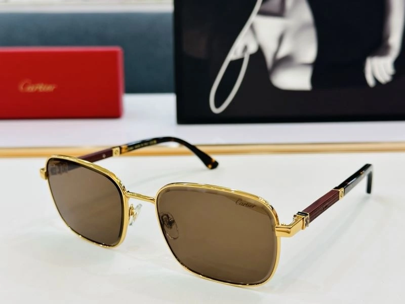 WellDesigned Cartier Sunglasses 277441
