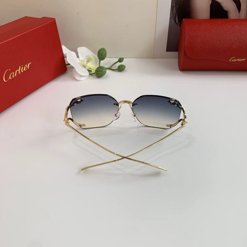 Cartier Sunglasses Soft 277415
