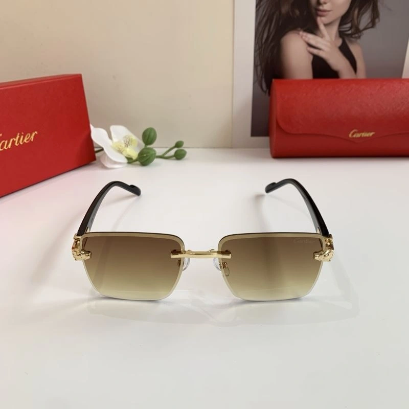 Cartier Sunglasses DailyWear 277391