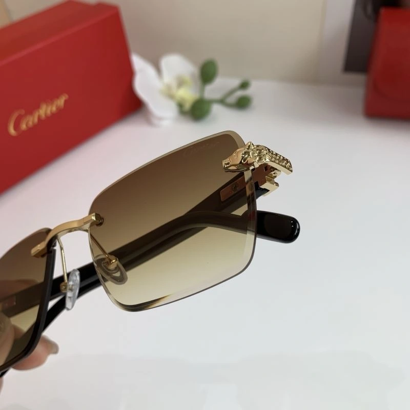 Cartier Sunglasses DailyWear 277391