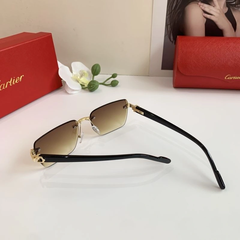 Cartier Sunglasses DailyWear 277391
